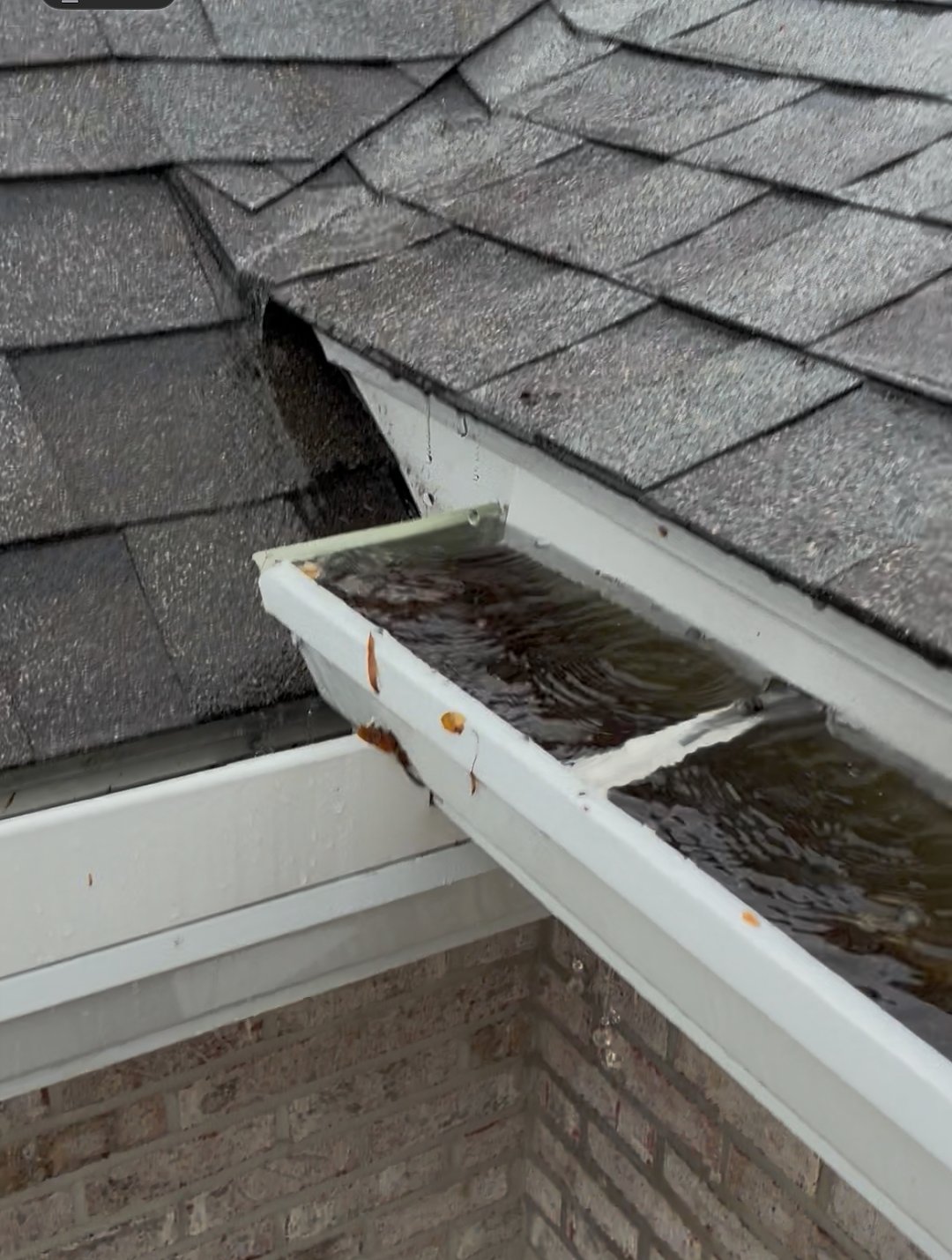 Professional Gutter Cleaning in Green, Ohio