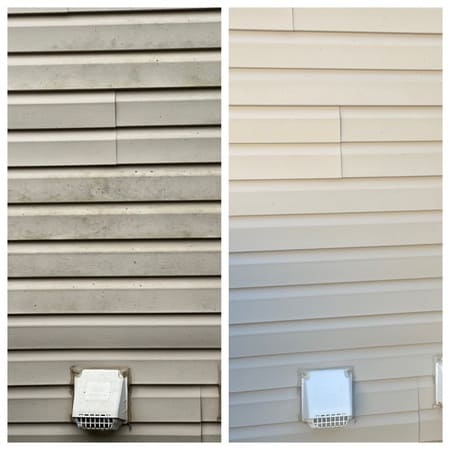 Siding Cleaning
